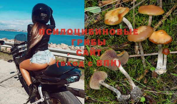 соль ск Арсеньев
