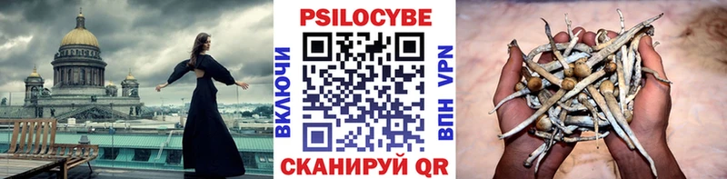 Галлюциногенные грибы GOLDEN TEACHER  даркнет сайт  Армянск 